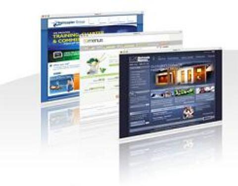 Paketa eCommerce / Profesionale
